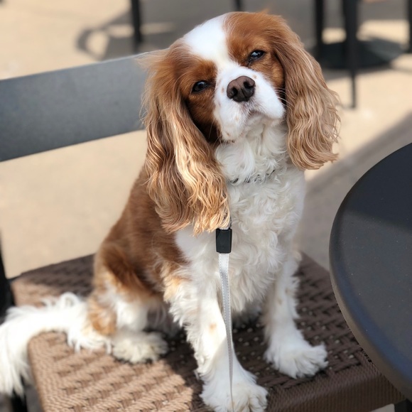 💕WELCOME! 💕 - Picture 4 of 6